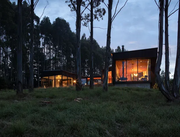 A low, dark-roofed contemporary house set among tall eucalyptus trees in a wooded landscape, photographed at dusk. Warm interior lighting glows through expansive floor-to-ceiling windows, revealing a refined living space, while a smaller connected pavilion is visible to the left. The building has a compact, rectilinear form with strong indoor-outdoor visual connection and a secluded bush setting.