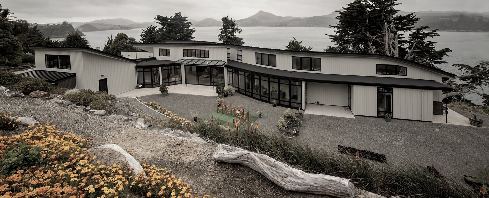 Eel House Dimond Roofing ArchiPro NZ