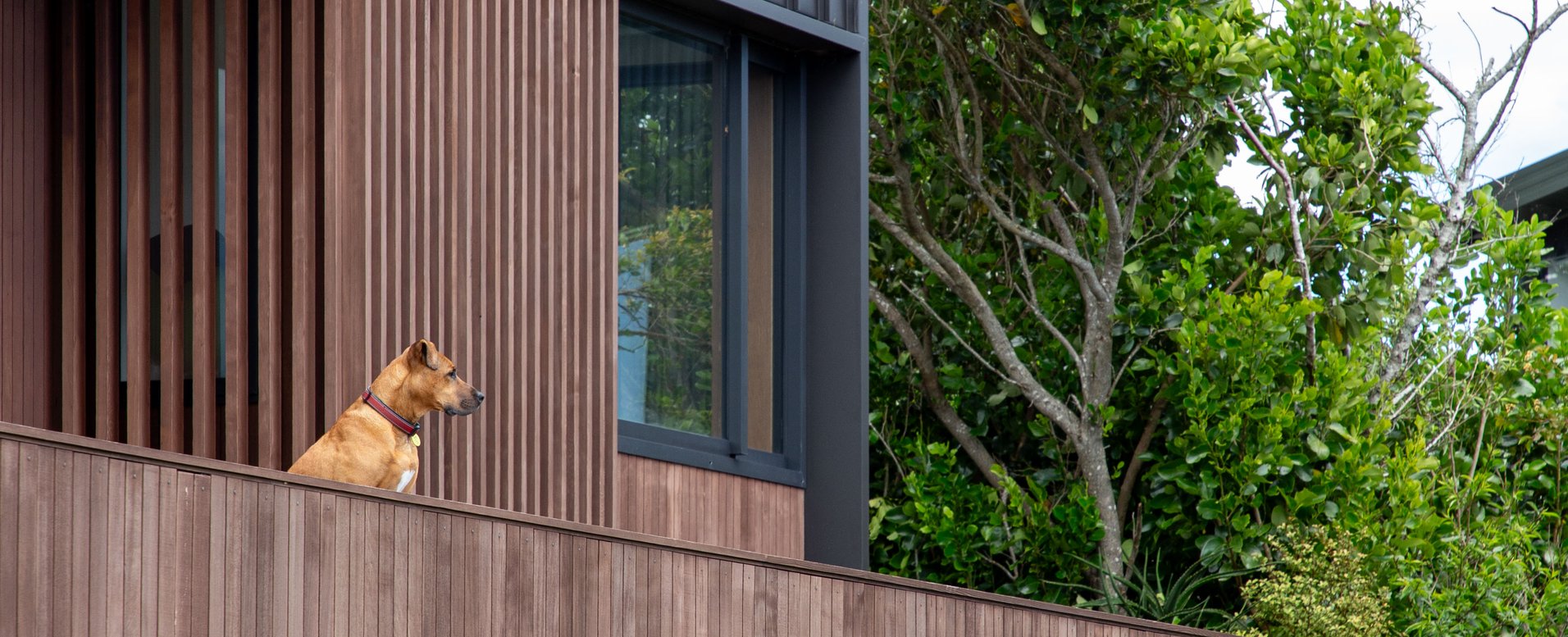 Kennedy Point by Create + Construct ArchiPro NZ