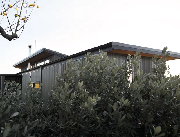 Exterior view of a contemporary single-storey home partly screened by dense olive-like landscaping. The building features dark vertical cladding, broad flat roof overhangs, clerestory-style glazing, and warm timber soffit detailing.