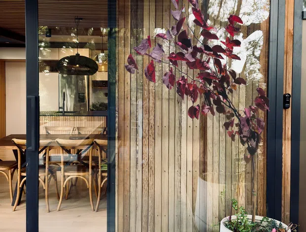 A contemporary glazed outdoor facade or terrace enclosure with dark-framed sliding glass doors, vertical timber cladding, and a pergola-like overhead slatted structure. Through the glazing, a warm dining area with timber furniture and pendant lighting is visible. A large white planter with burgundy foliage sits on a pale timber or composite deck.