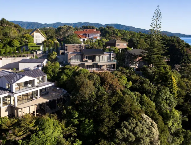 Aerial view of a leafy coastal residential neighbourhood with several contemporary multi-level homes set among dense vegetation along a rocky shoreline. The foreground houses feature pitched metal roofs, extensive glazing, balconies and decks, while calm blue water and forested hills extend into the background.