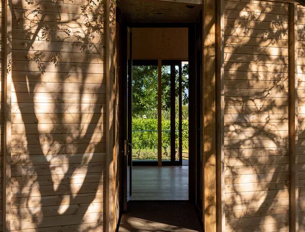 A small timber-clad building viewed from outside, with a central open entry leading through a dark hallway into a bright glazed interior. The facade uses horizontal natural timber boards, dark-framed glazing and a corrugated metal pitched roof. Mature tree branches cast strong dappled shadows across the walls and gravel forecourt, creating a warm, woodland setting.