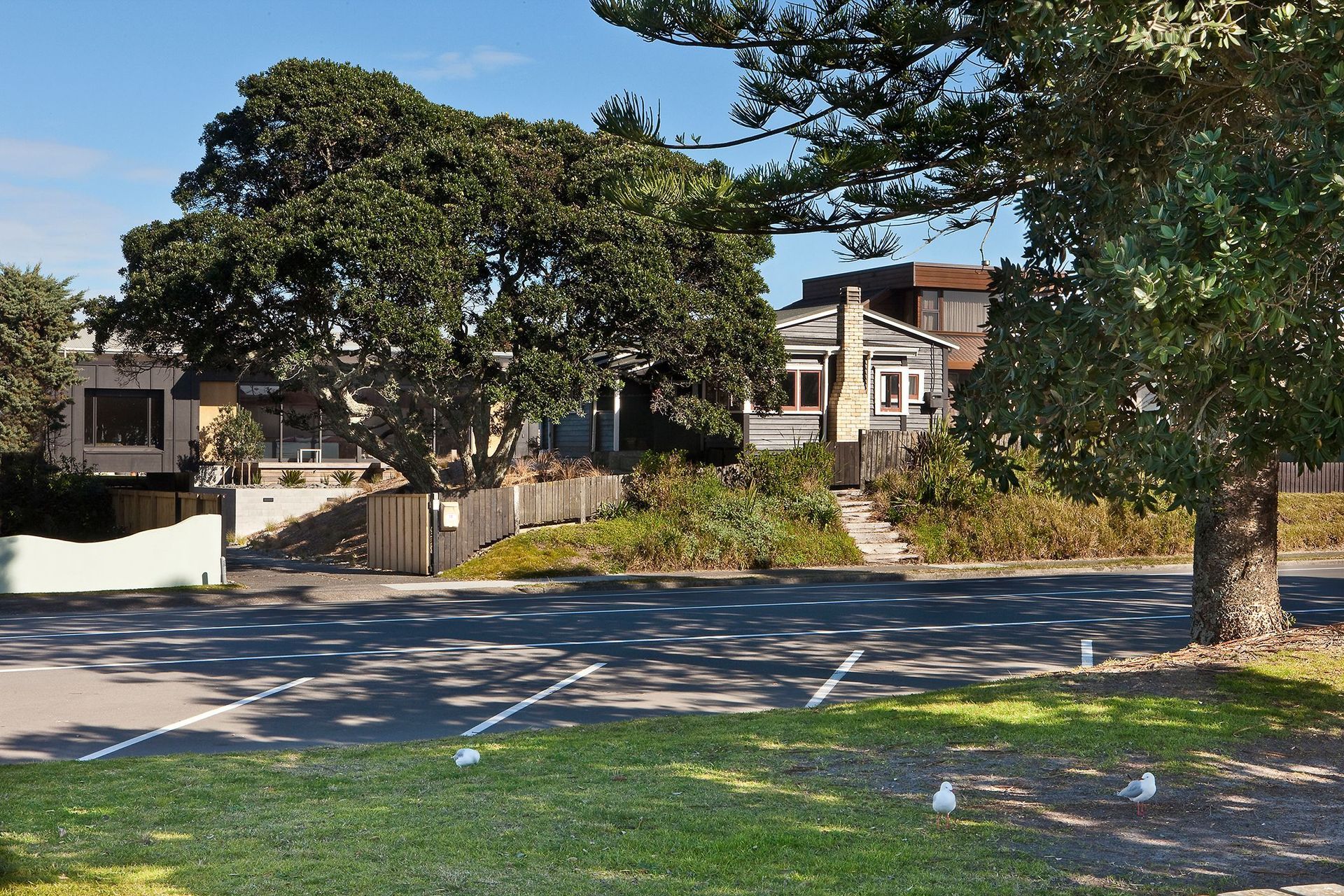 Screened by Pohutukawa (Stage One)